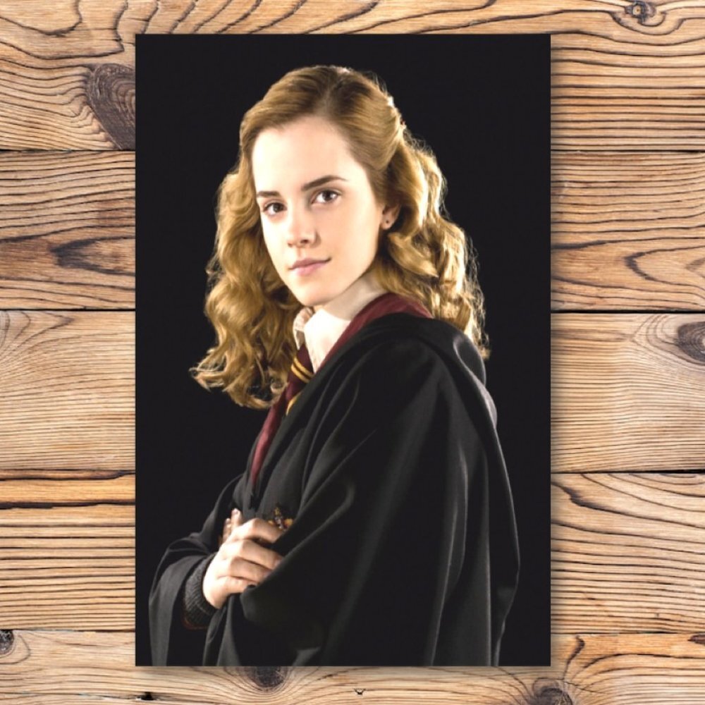 Harry Potter Hermione Granger Portrait Refrigerator Locker Fridge Magnet